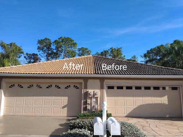 roof cleaning tampa, fl