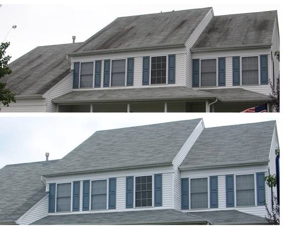 Roof Cleaning in Lakeland