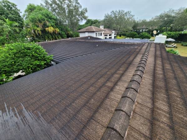 Roof Washing Professionals